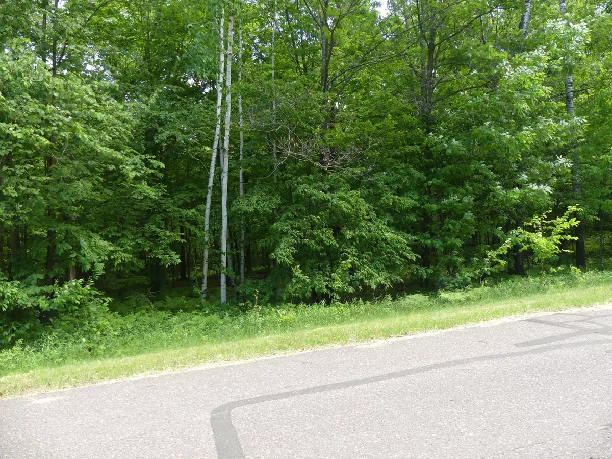 Maple Plain Twp, WI 54829,Lot 4 25 1/4 AVE