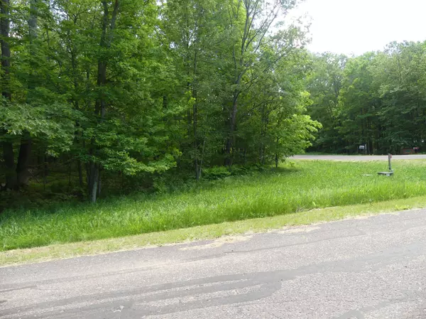 Maple Plain Twp, WI 54829,Lot 5 25 1/4 AVE