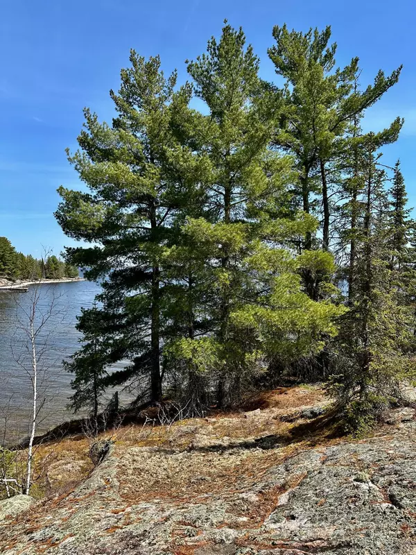 Kabetogama Twp, MN 56669,TBD Kabetogama Lake W