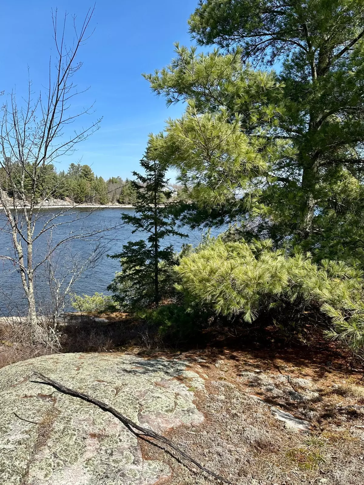 Kabetogama Twp, MN 56669,TBD Kabetogama Lake W