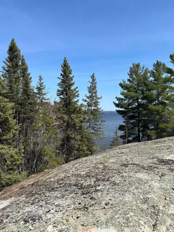 Kabetogama Twp, MN 56669,TBD Kabetogama Lake W