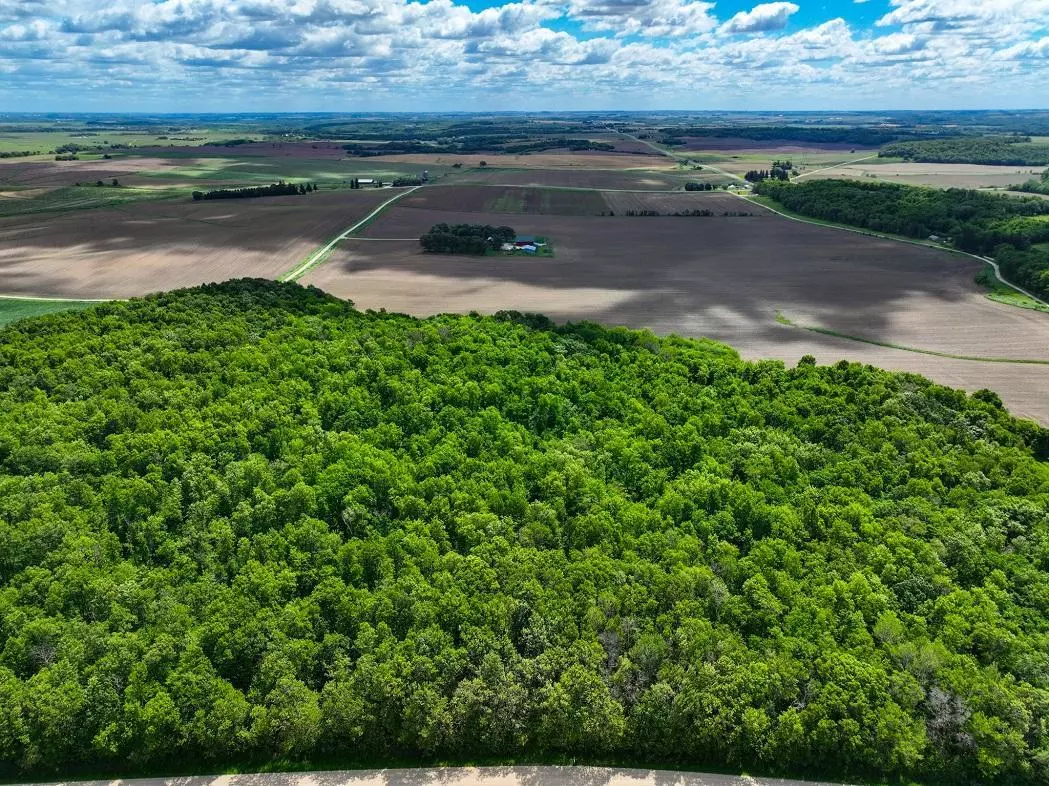 Amherst Twp, MN 55939,XX40 351st AVE