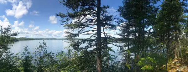 Morse Twp, MN 55731,2969 Van Vac RD