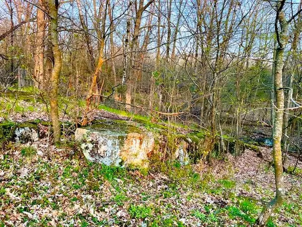 Saint Croix Falls, WI 54024,8xx E Louisiana ST