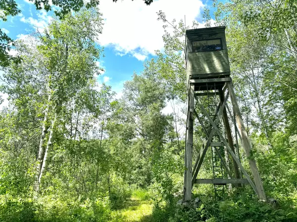 Peace Twp, MN 55051,TBD-82AC Highway 65