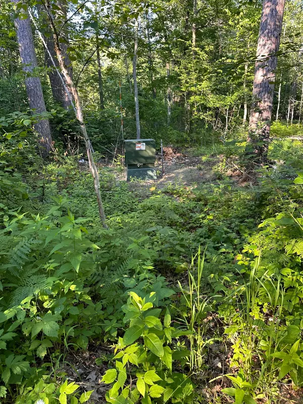 Mcgregor, MN 55760,XXX Lark PL