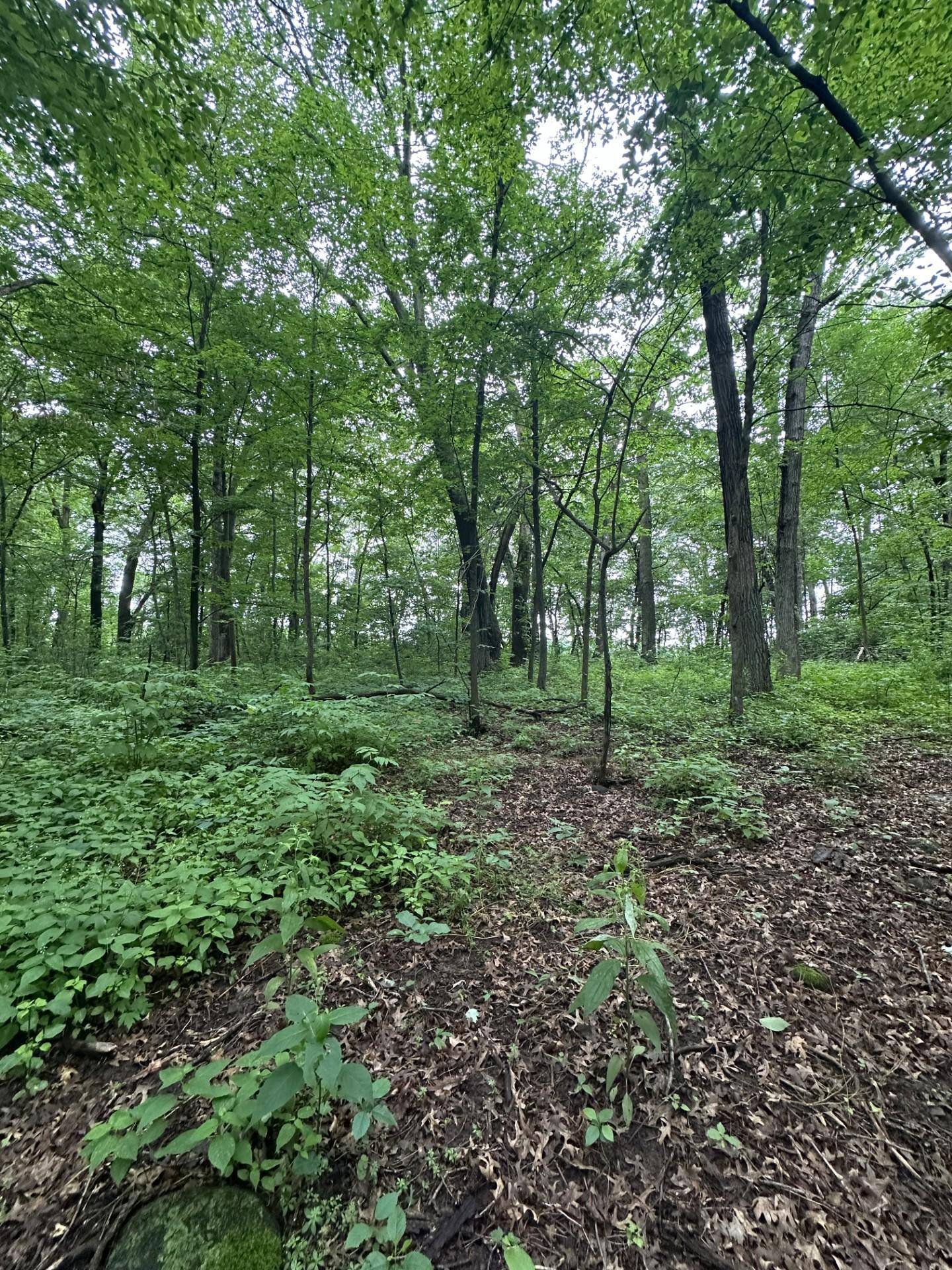 Alden Twp, WI 54026,XXX 206th ST