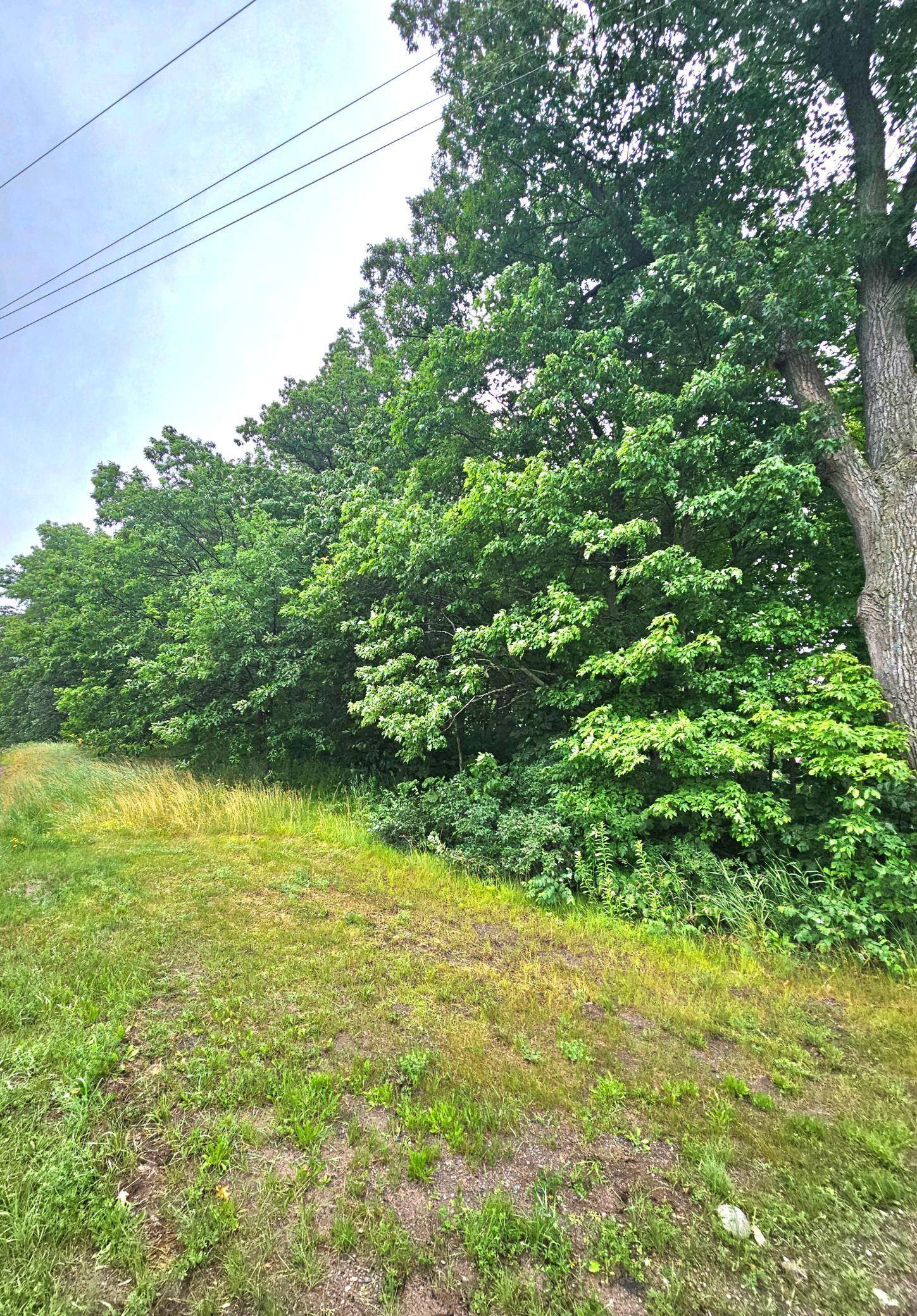 Isle, MN 56342,TBD East Grace Street