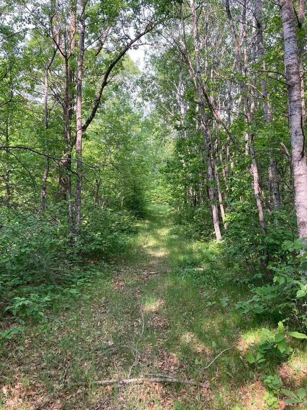 Breezy Point, MN 56442,LOT 5 Fawn Lake RD
