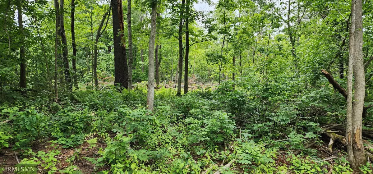 Apple River Twp, WI 54001,10xx US Hwy 8