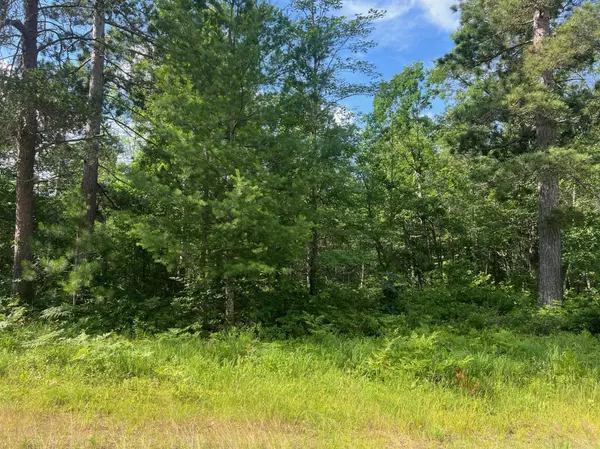 Danbury, WI 54830,Lot 201 Deerpath RD