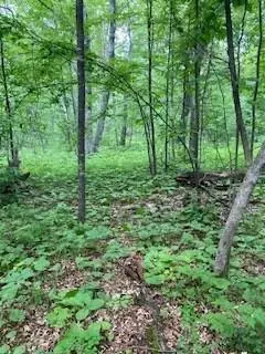 Breezy Point, MN 56442,LOT 4 Fawn Lake RD