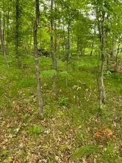 Breezy Point, MN 56442,LOT 4 Fawn Lake RD