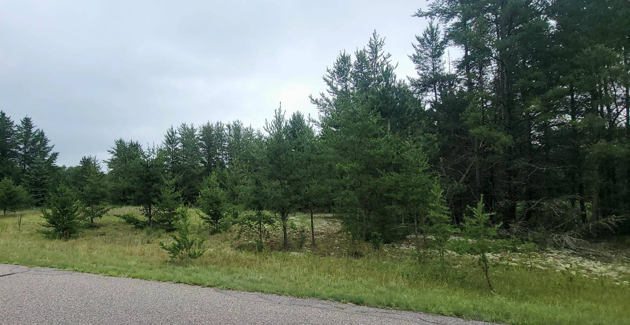 Motley, MN 56466,TBD Twin Oaks LOOP