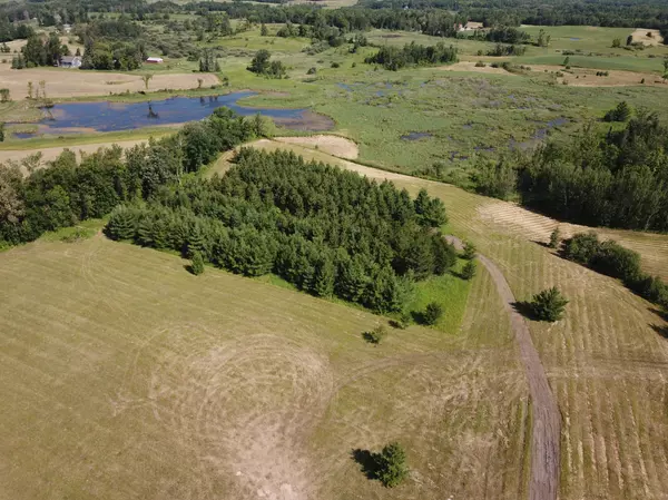 Popple Twp, MN 56621,TBD 390th ST