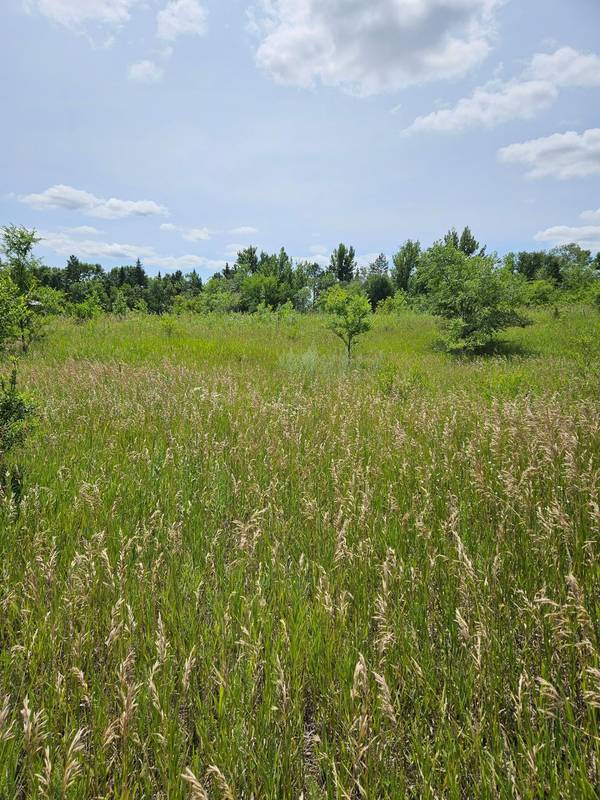 Lot 5 Country Estates CT NW, Alexandria, MN 56308