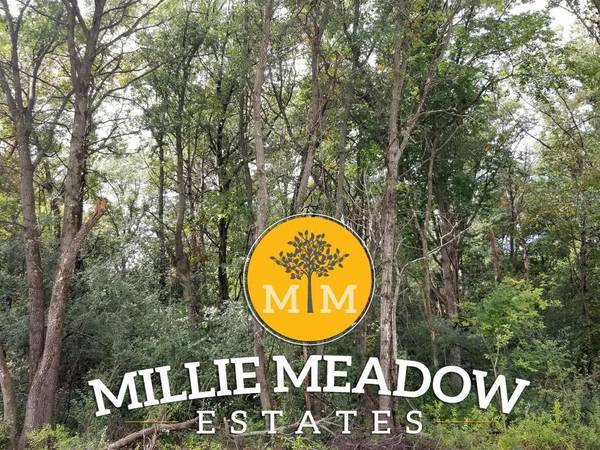 3541 Millie RD SW, Rochester, MN 55902