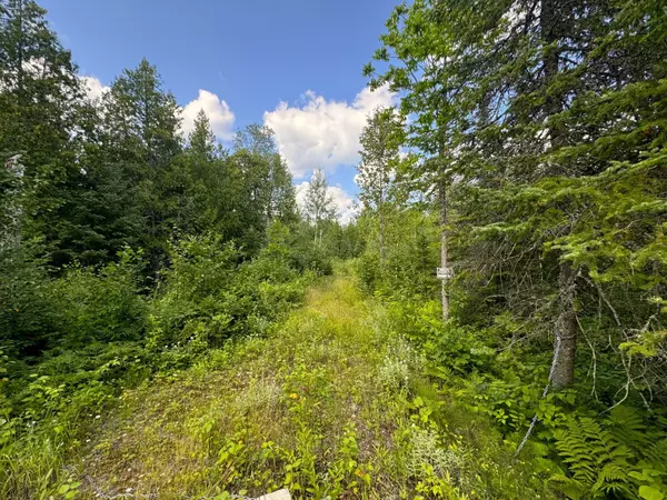 Angora, MN 55703,9195 Samuelson RD