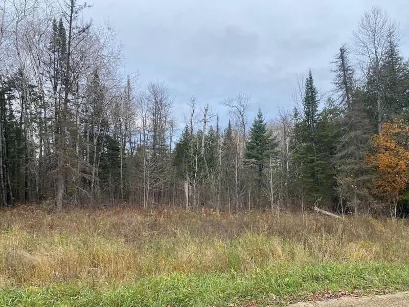 Parcel A Hines RD NE, Blackduck, MN 56630