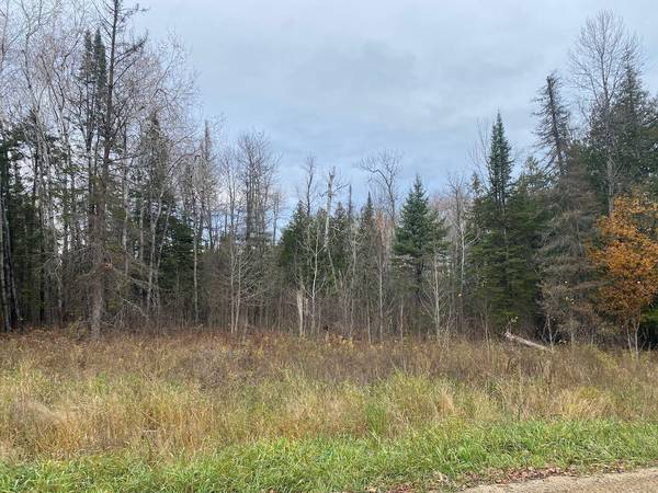 Parcel A Hines RD NE, Blackduck, MN 56630