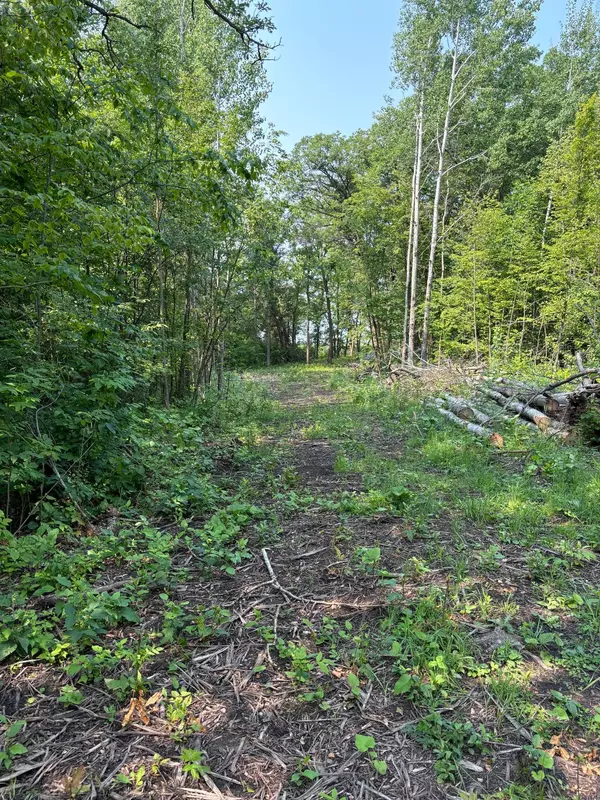 Island Lake Twp, MN 56651,1246 Island Lake Resort DR