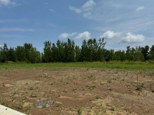 Rush City, MN 55069,xxx4 Fitzgerald Avenue