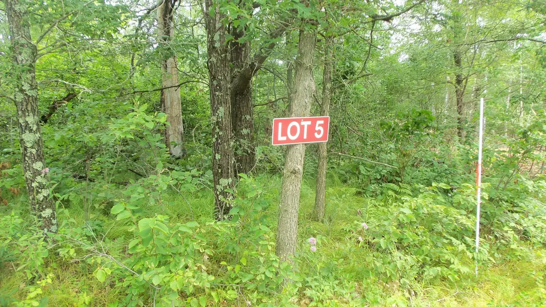 LOT 5 DEERFIELD RD, Chicog Twp, WI 54888