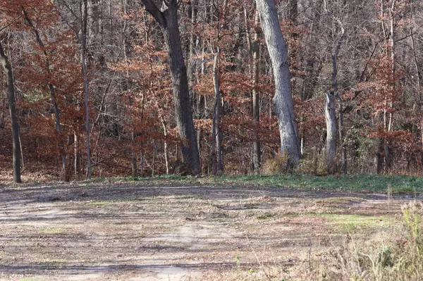 Cedar Lake Twp, MN 55372,XYZ S Balsa AVE S