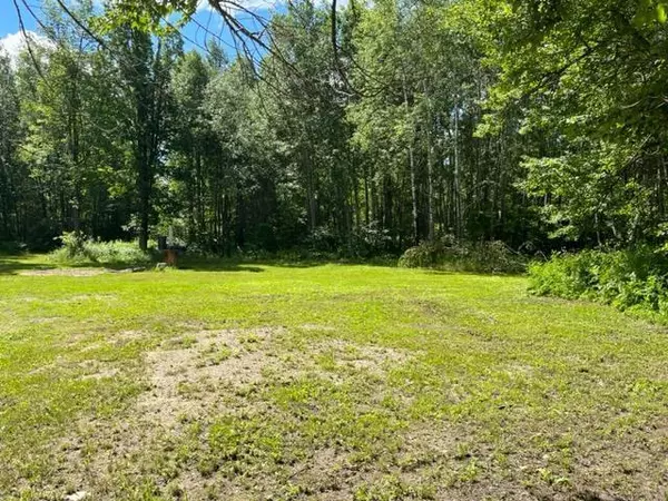 Grand Rapids Twp, MN 55744,35029 County Road 177