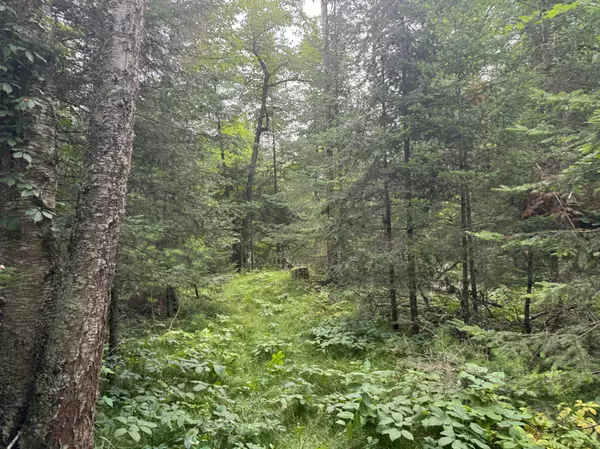 Nevis, MN 56467,TBD4 Chokecherry DR