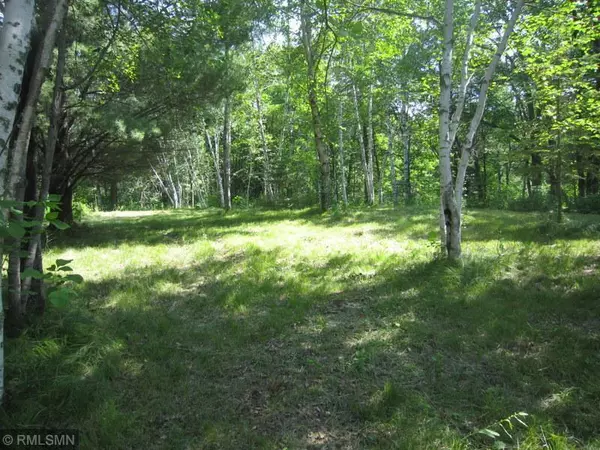 Leech Lake Twp, MN 56461,TBD Rifle Range DR NW