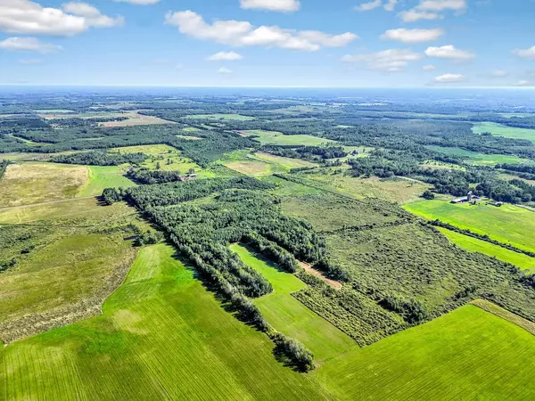 XXX 290th AVE, Pomroy Twp, MN 55007