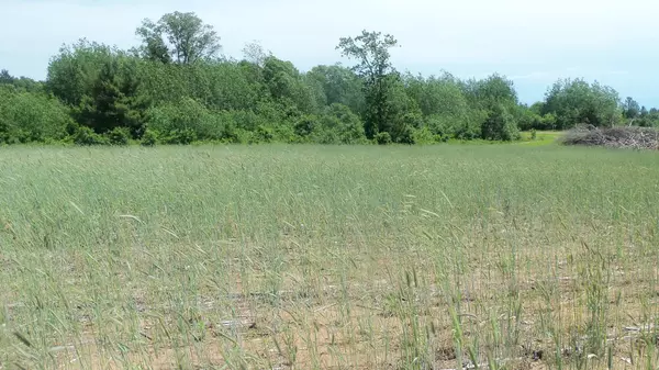 Meenon Twp, WI 54872,LOT 18 MAPLE LN