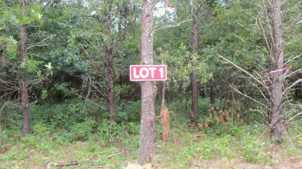 Anderson Twp, WI 54840,Lot 1 Bur Oak Trl