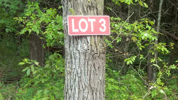 Lot 3 Bur Oak Trl, Anderson Twp, WI 54840