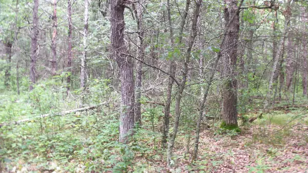 Anderson Twp, WI 54840,Lot 3 Bur Oak Trl