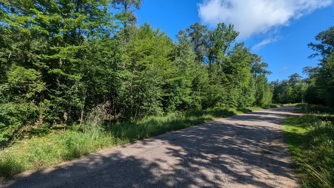 TBD Buckhorn TRL, Center Twp, MN 56465