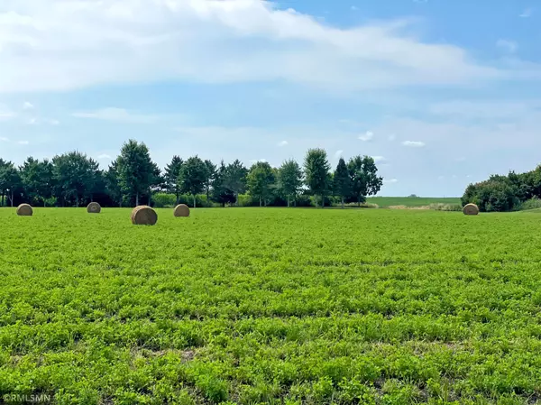 Cokato, MN 55321,1500X 60th ST SW