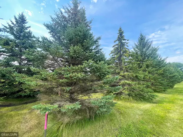 Cokato, MN 55321,15XX2 60th ST SW