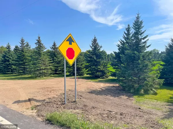 Cokato, MN 55321,15XX3 60th ST SW