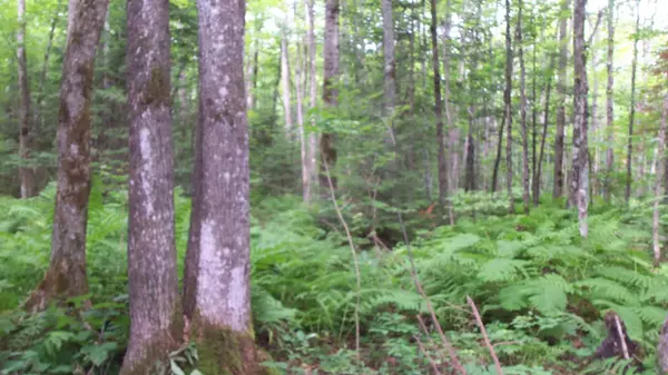 Ashland Twp, WI 54546,90 Acres Kornstead Rd