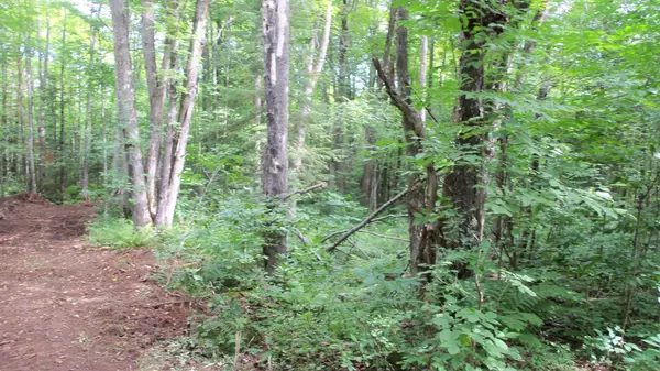 Ashland Twp, WI 54546,90 Acres Kornstead Rd