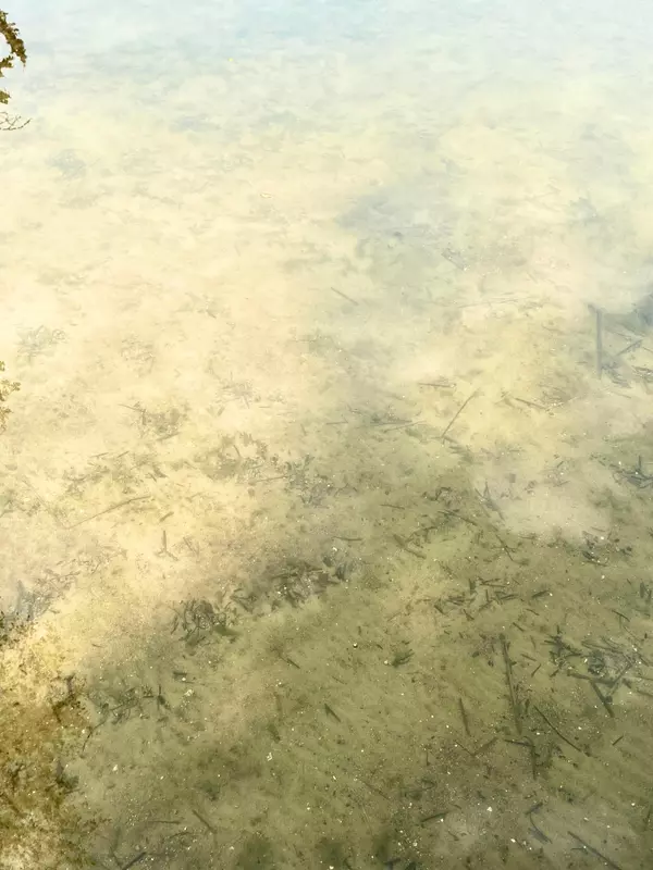 Bowstring Twp, MN 56636,46012 CO RD 133