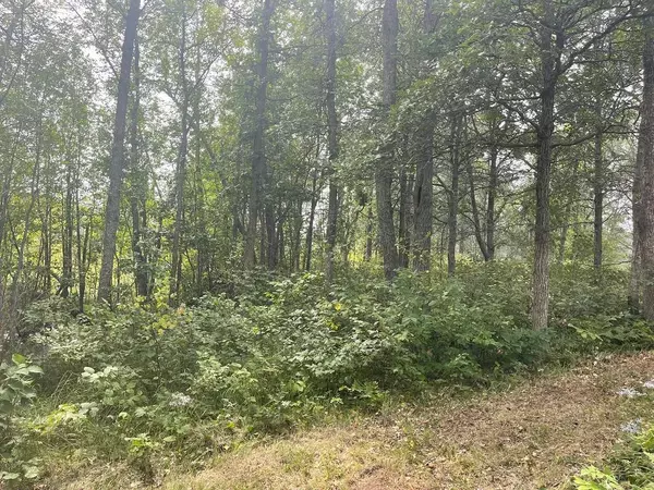 Ponsford, MN 56575,XXX Basswood RD