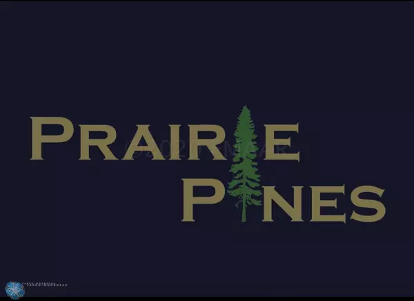 Hankinson, ND 58041,202 PRAIRIE DR N