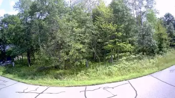 Nisswa, MN 56468,Lot 12 Mitchell CT