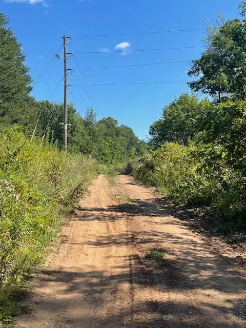 Garrison Twp, MN 56450,TBD County Road 138 & Highway 169