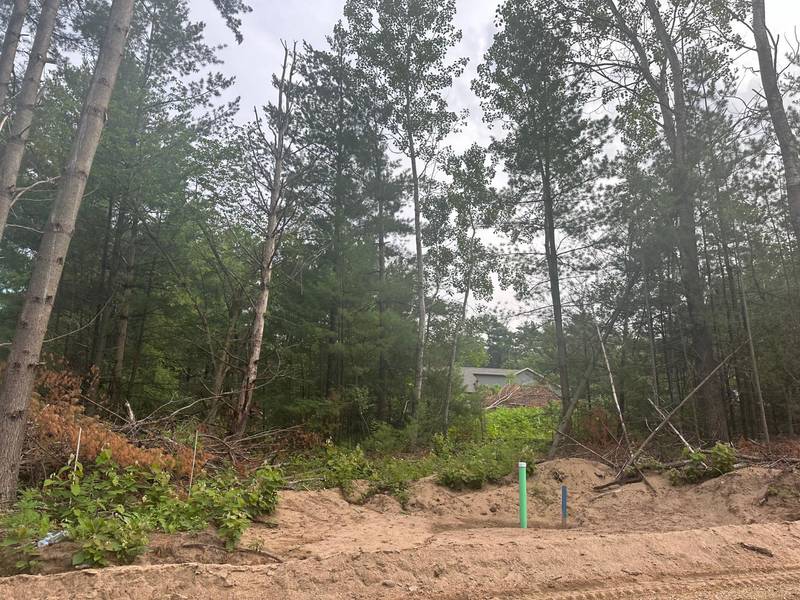 Lot 3 Blk 1 Brummer DR, Randall, MN 56475