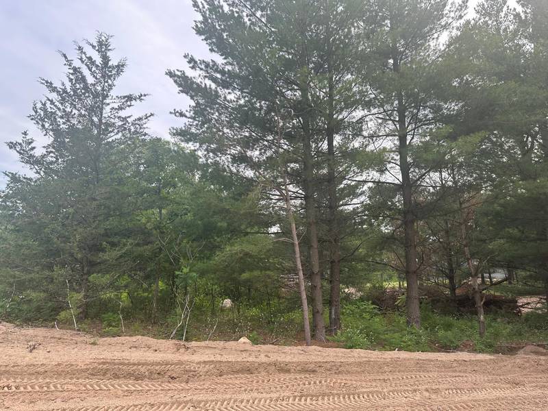 Lot 4 Blk 1 Brummer DR, Randall, MN 56475