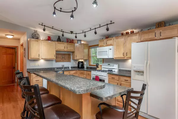 Belgrade Twp, MN 56003,52547 Ravine RD